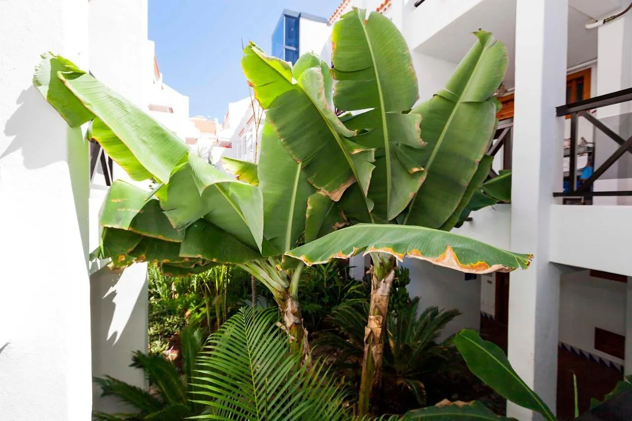 Apartament Estudio 1 Sara En Playa De Las America - Sara Vacation Costa Adeje  Hiszpania